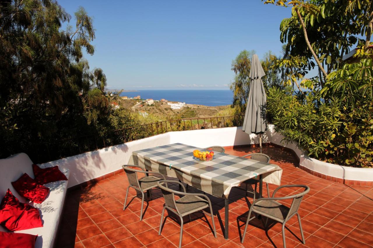 Parasol - Finca Tabaiba By Tor Icod De Los Vinos Buitenkant foto
