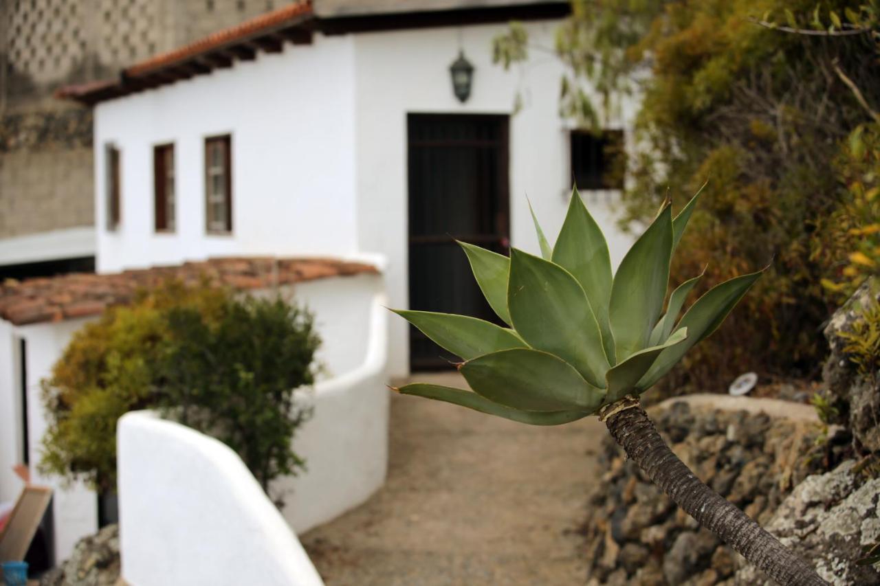 Parasol - Finca Tabaiba By Tor Icod De Los Vinos Buitenkant foto